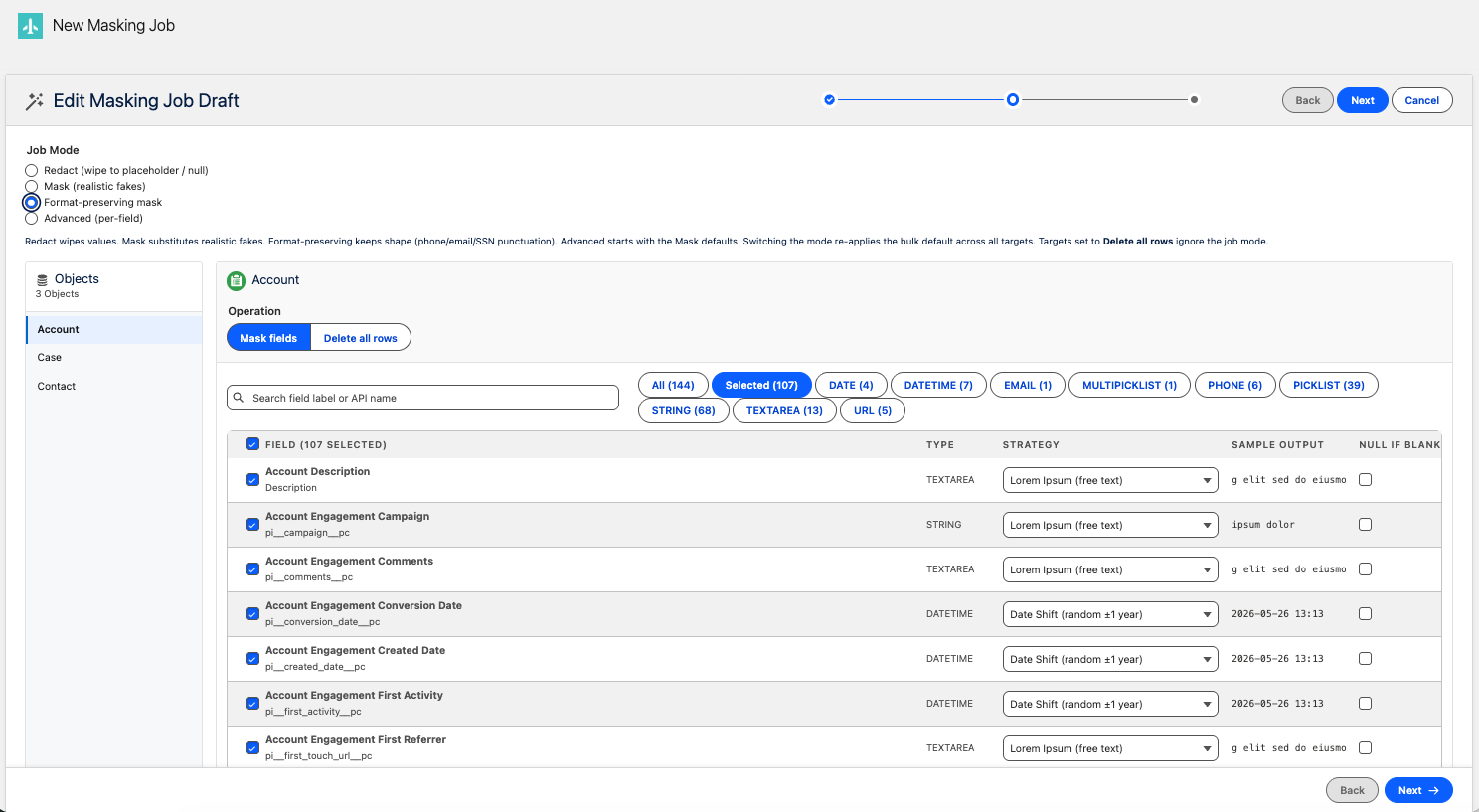 EasyMask Masking Wizard — choose protection per field